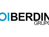Grupo Berdin